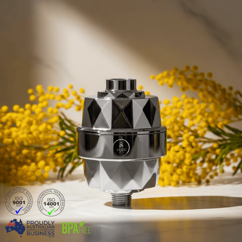 HolyH2O Shower Mate compact shower filter for chlorine reduction and softer skin and hair in standard shower setup