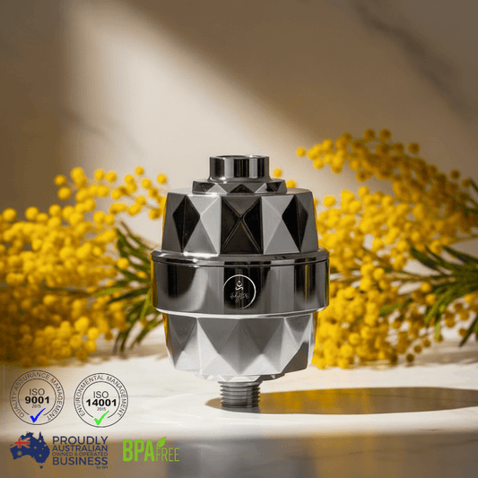 HolyH2O Shower Mate compact shower filter for chlorine reduction and softer skin and hair in standard shower setup