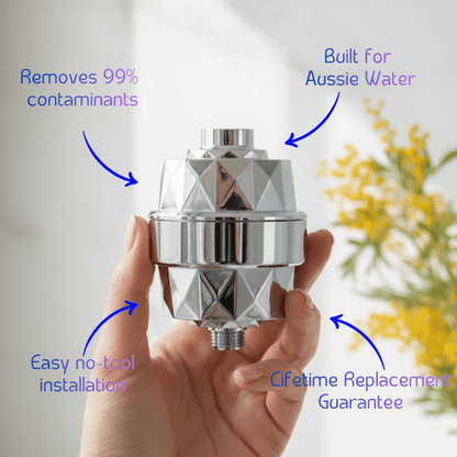 HolyH2O Shower Mate compact shower filter for chlorine reduction and softer skin and hair in standard shower setup